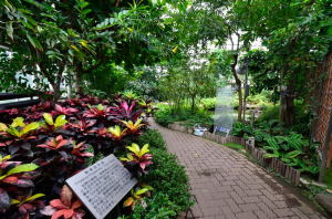 神代植物園・大温室
