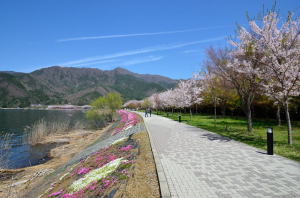 河口湖周辺