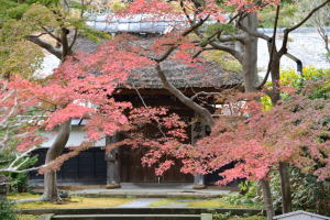 円覚寺・居士林