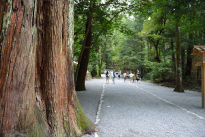 伊勢神宮・外宮・参道