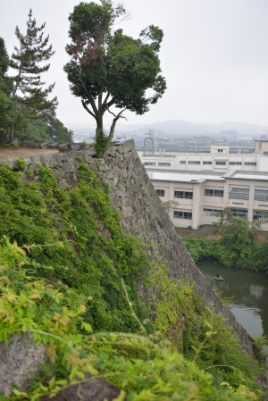 伊賀上野城・内堀の石垣