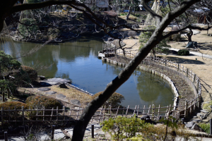 新江戸川公園