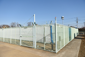 東京都薬用植物園・ケシ、アサ試験区 東京都薬用植物園・ケシ、アサ試験区