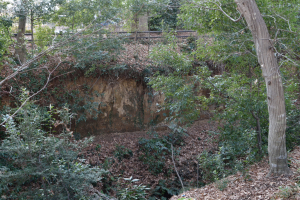 玉川上水