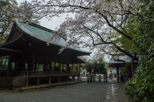 鎌倉宮・拝殿