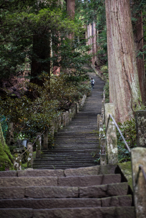 室生寺・奥之院への階段