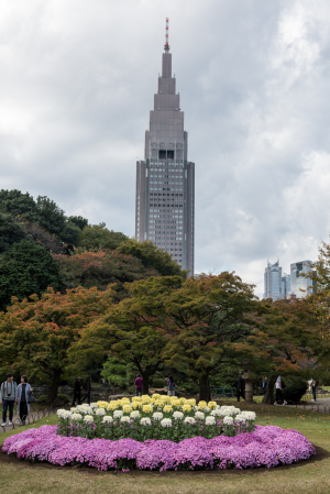 新宿御苑・菊花壇展