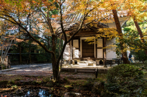 法然院・経蔵
