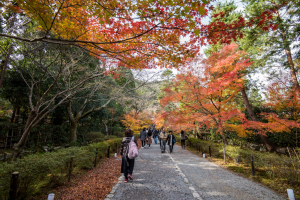 二尊院・参道