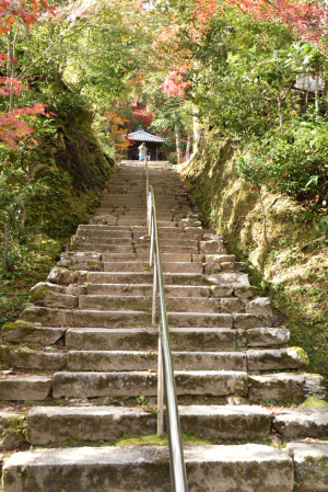 二尊院・法然上人廟