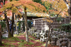 化野念仏寺・紅葉