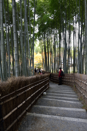 化野念仏寺・竹林の小径