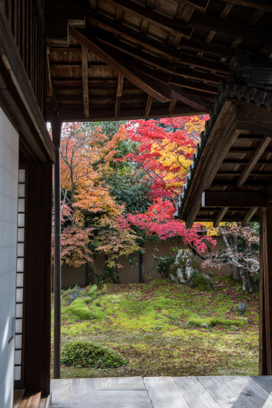 清涼寺・庫裡
