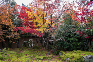 清凉寺・庫裡