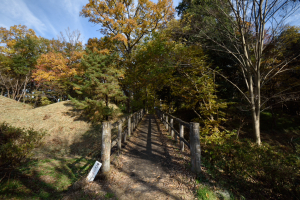 菅谷館跡・木橋