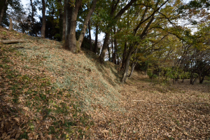菅谷館跡・本郭の土塁