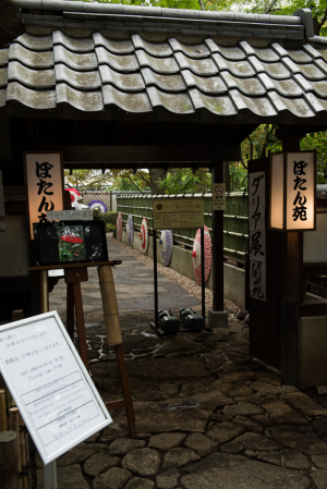 上野東照宮ぼたん苑
