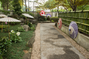 上野東照宮ぼたん苑