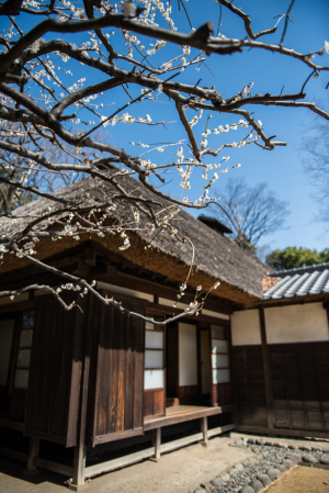 江戸東京たてもの園・吉野家