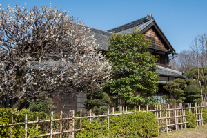 江戸東京たてもの園・川野商店