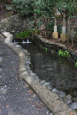 国分寺跡・真姿の池湧水群