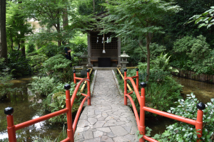 国分寺跡・真姿の池