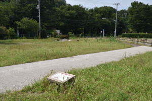 国分尼寺跡・講堂跡