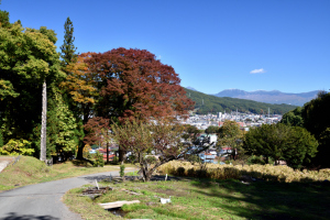 諏訪大社・上社前宮・境内