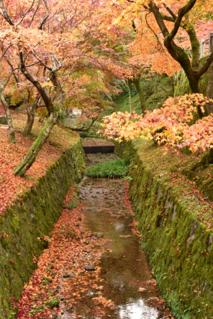 東福寺・洗玉澗