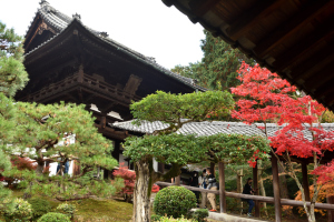 東福寺・開山堂の門