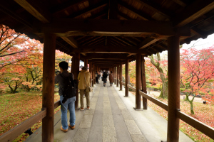 東福寺・通天橋