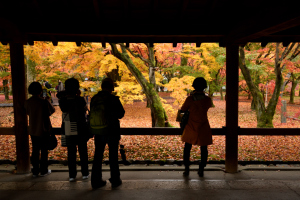 東福寺・通天橋