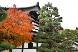 東福寺・禅堂