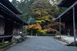 泉涌寺・舎利殿、仏殿