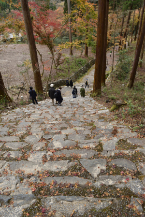 高山寺・金堂道