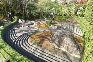退蔵院・陰の庭