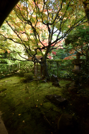 桂春院・侘びの庭