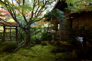 桂春院・侘びの庭