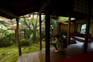 桂春院・侘びの庭
