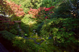 桂春院・思惟の庭