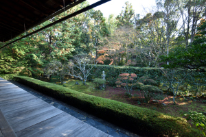 桂春院・真如の庭