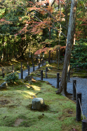 桂春院