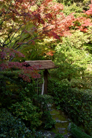 桂春院・思惟の庭