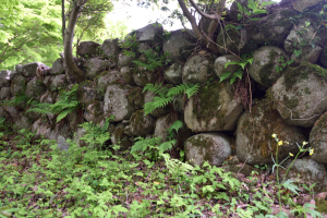 津和野城・台所周辺の石垣