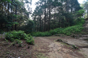 金田城・ビングシ土塁・門跡 金田城・ビングシ土塁・門跡