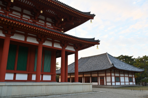 興福寺・中金堂と仮講堂
