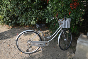 法輪寺・駐車場