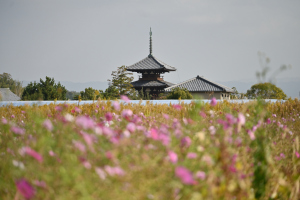 法起寺