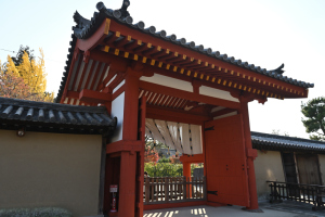薬師寺・南門