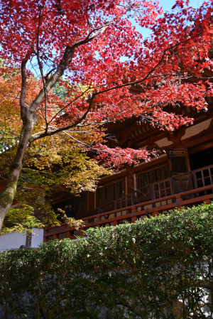 醍醐寺・観音堂